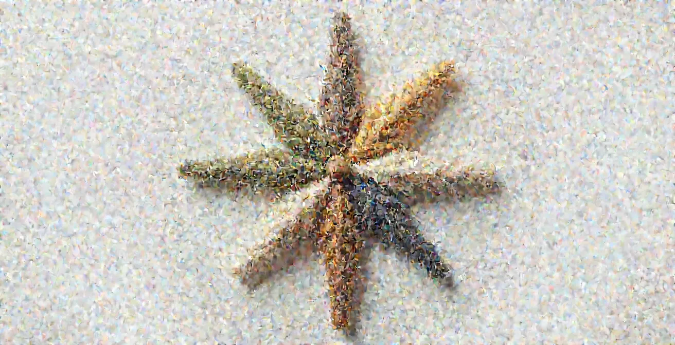 Öko-Prioritäten-Kompass für nachhaltige Textilfasern